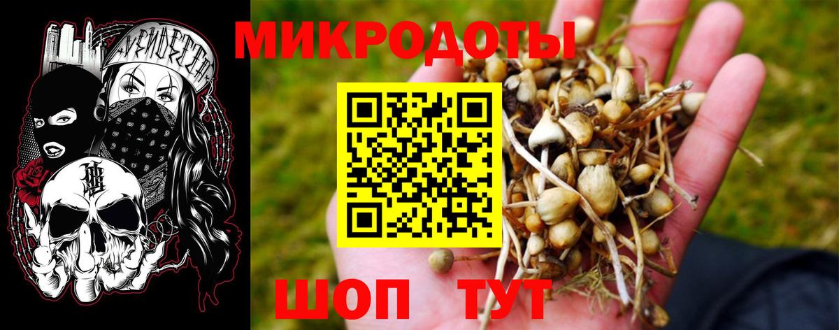 Солнечногорск  Псилоцибиновые грибы ЛСД  Вход с VPN 